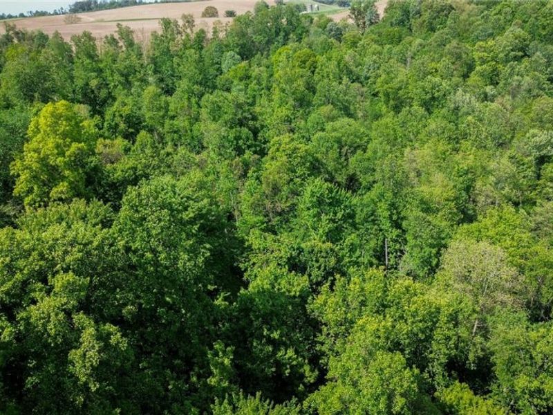Degen Road SW, Stone Creek, OH 43840 Photo 10