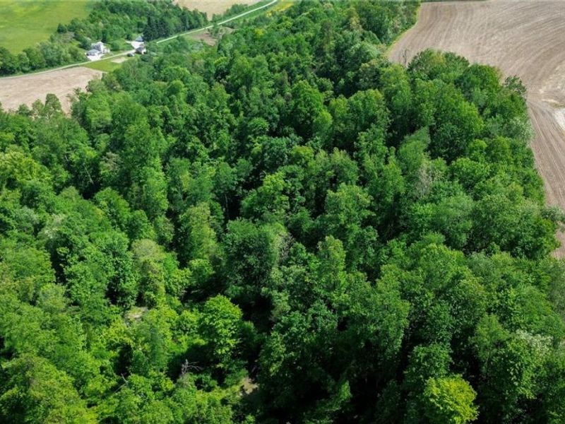 Degen Road SW, Stone Creek, OH 43840 Photo 14