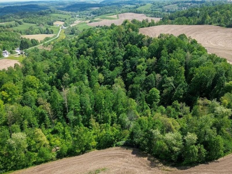 Degen Road SW, Stone Creek, OH 43840 Photo 15