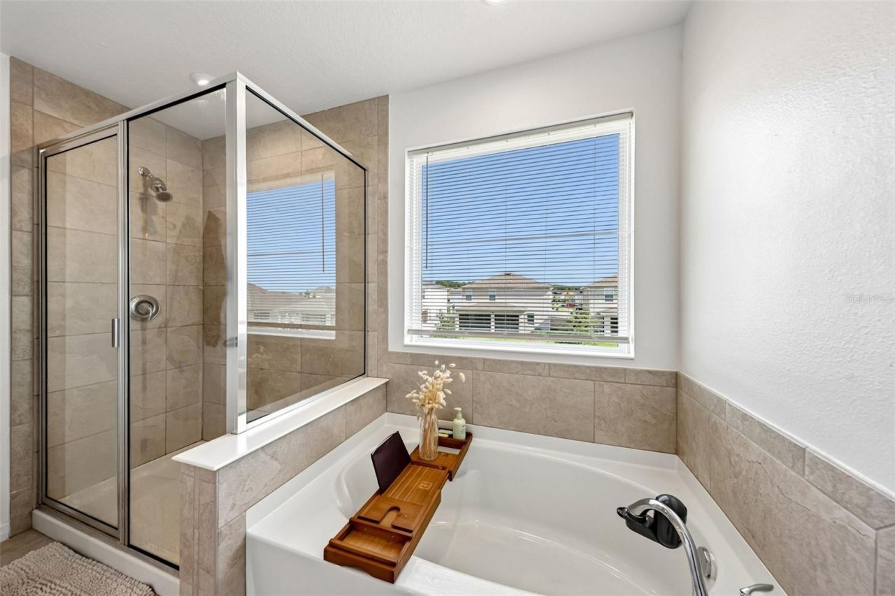 2960 Angelonia Thorn Way, Clermont, FL 34711 Photo