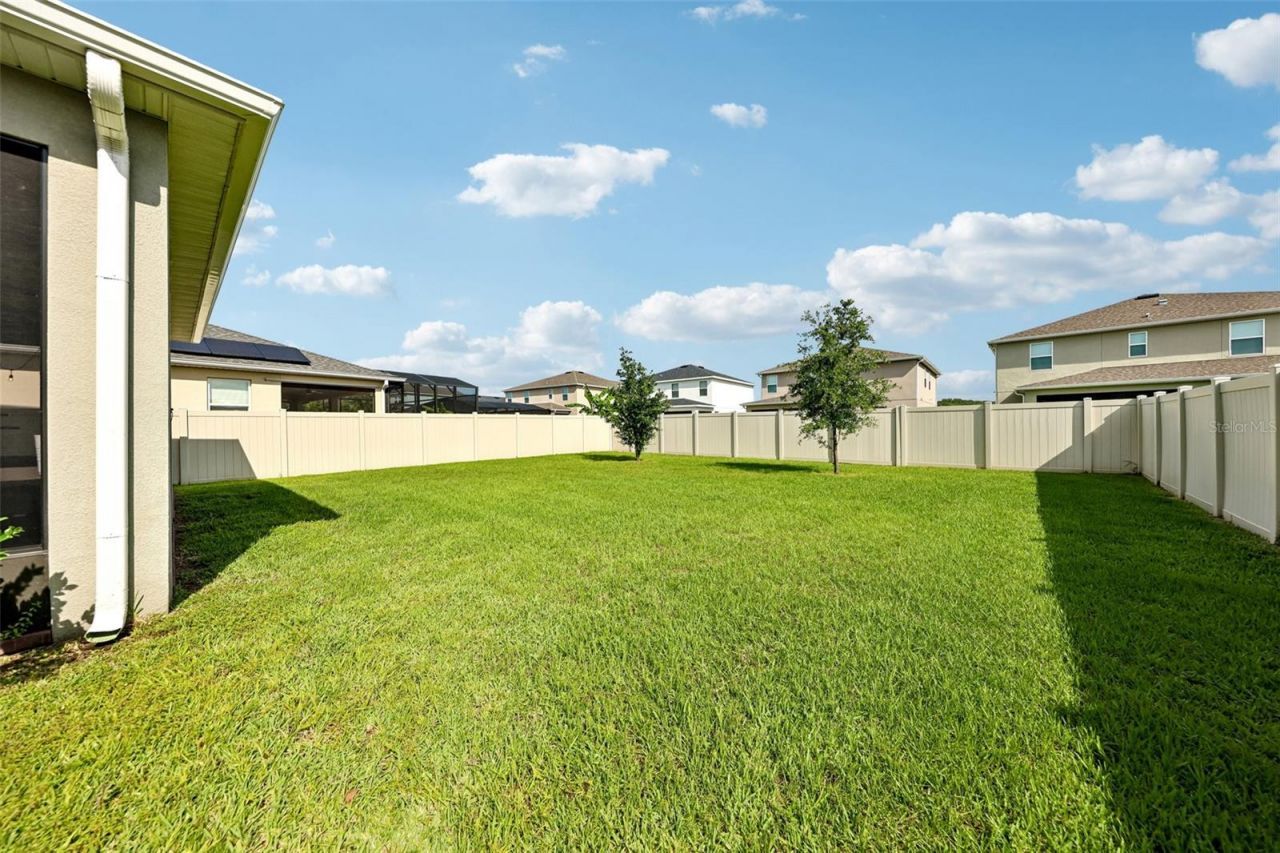 2960 Angelonia Thorn Way, Clermont, FL 34711 Photo