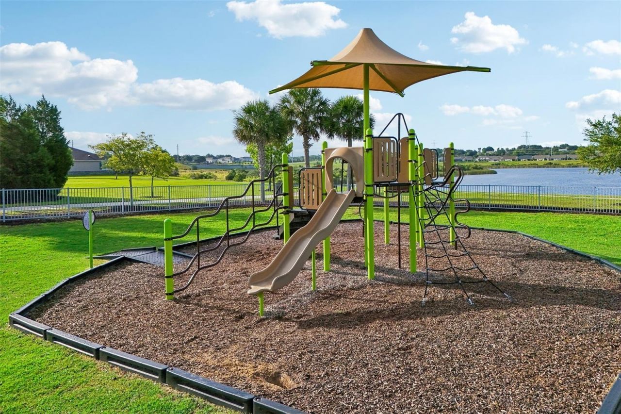 2960 Angelonia Thorn Way, Clermont, FL 34711 Photo