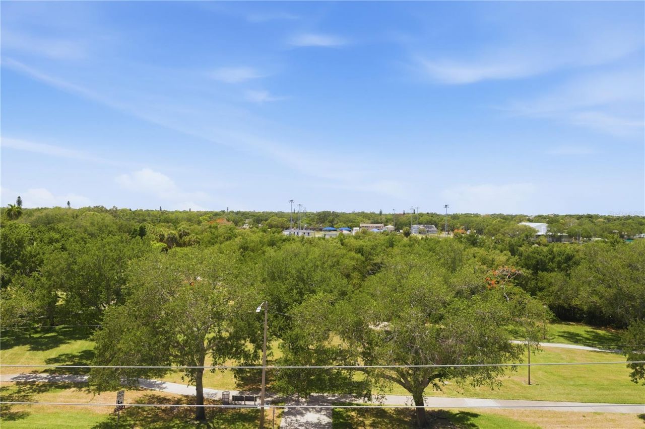 2104 4th Street S, Unit 3, Saint Petersburg, FL 33705 Photo