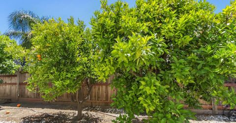 3750 Argonaut Ave, Rocklin, CA 95677 Photo