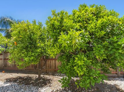 3750 Argonaut Ave, Rocklin, CA 95677 Photo