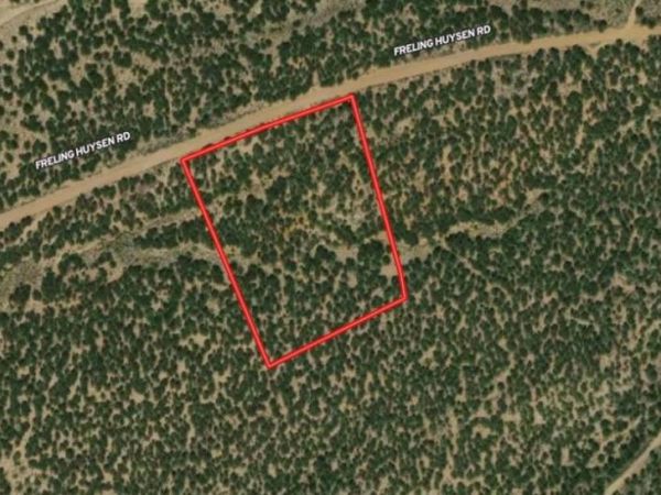 Freling Huysen Road , Fort Garland, CO 81133