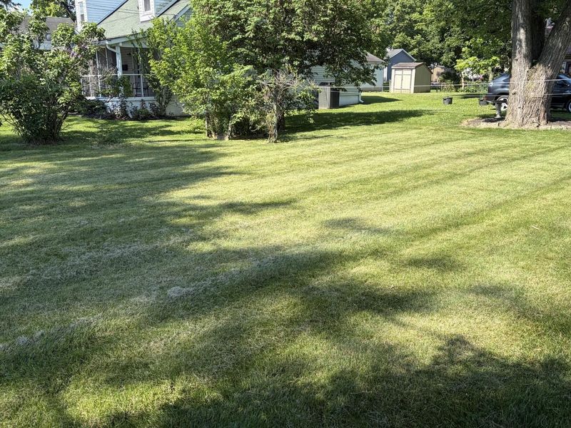 435 W William Street , Delaware, OH 43015 Photo 3