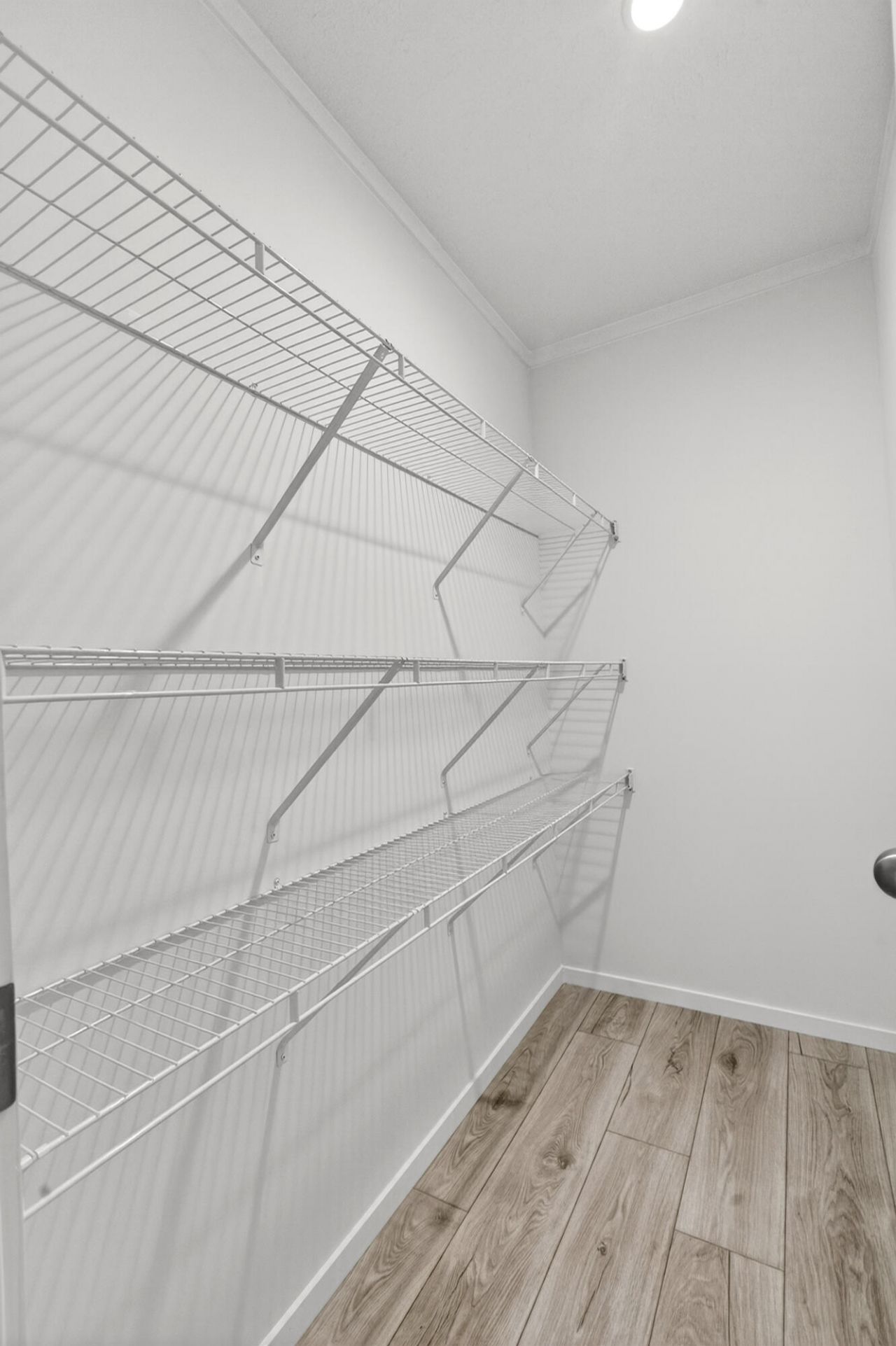 743 Roscoe Court Photo 37