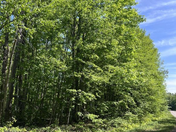 Lot 232 Laming Circle, Elmira, MI 49730