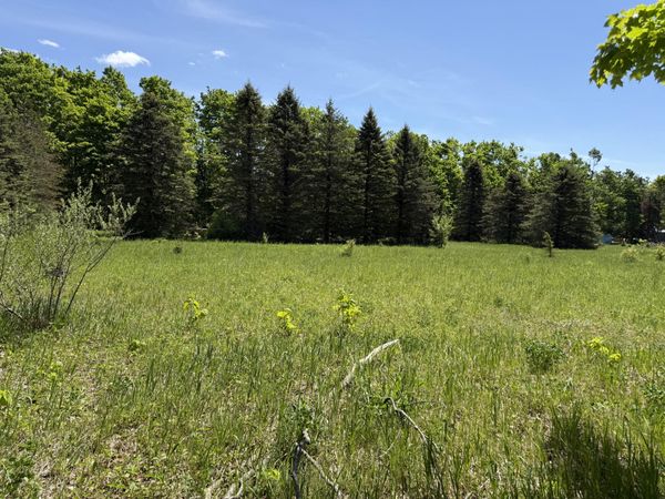 621 Franckowiak Road, Elmira, MI 49730
