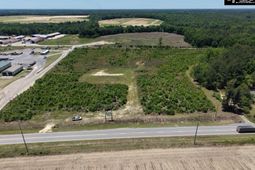 7376 Savannah Highway  photo 4