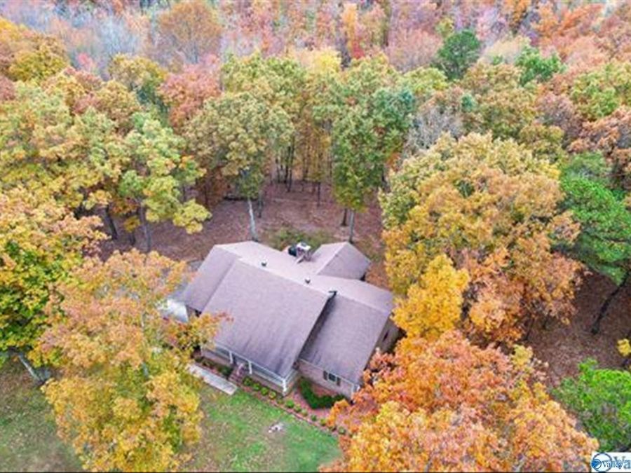 Property Image 30