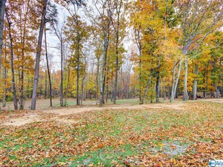 Property Image 32