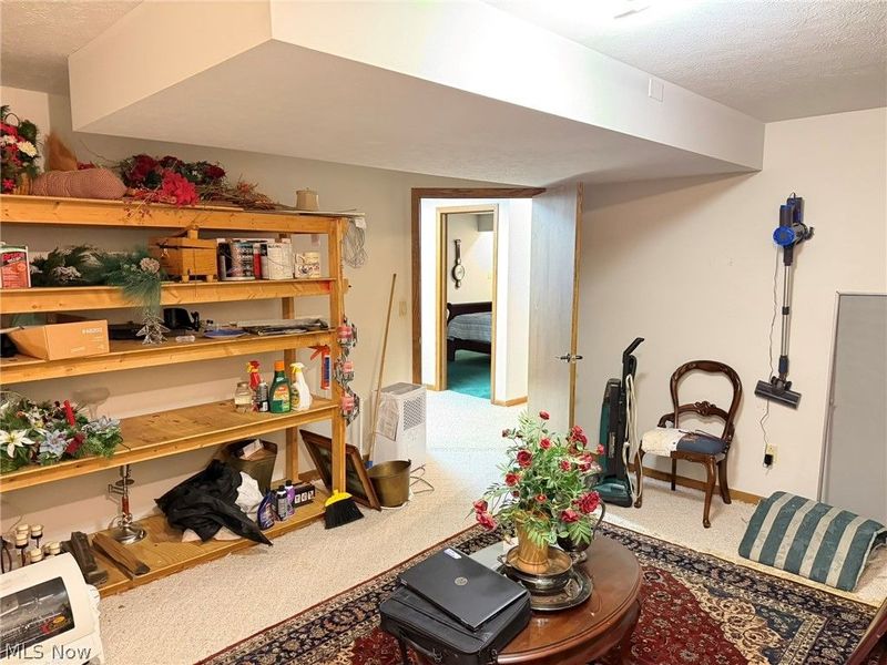 946 Douglas Drive, Wooster, OH 44691 Photo 37