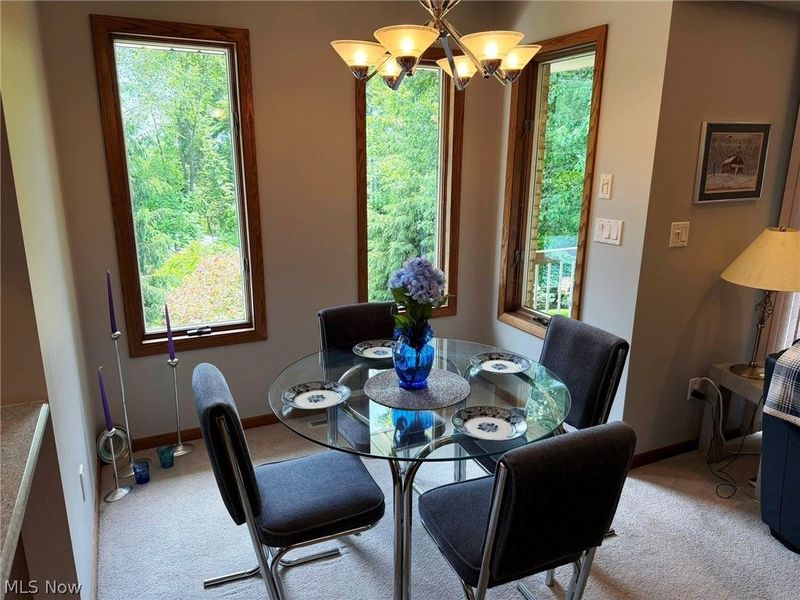 946 Douglas Drive, Wooster, OH 44691 Photo 9