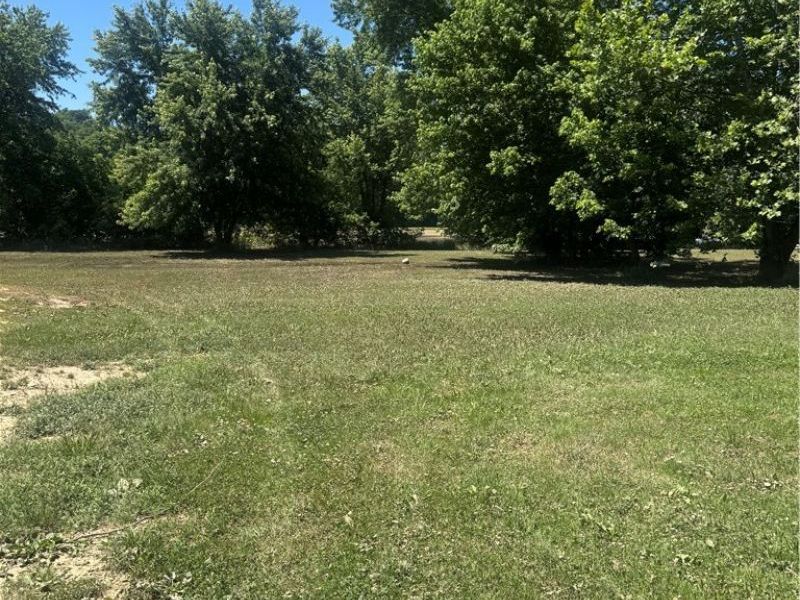 Shady Lane , Blue Rock, OH 43720 Photo 6