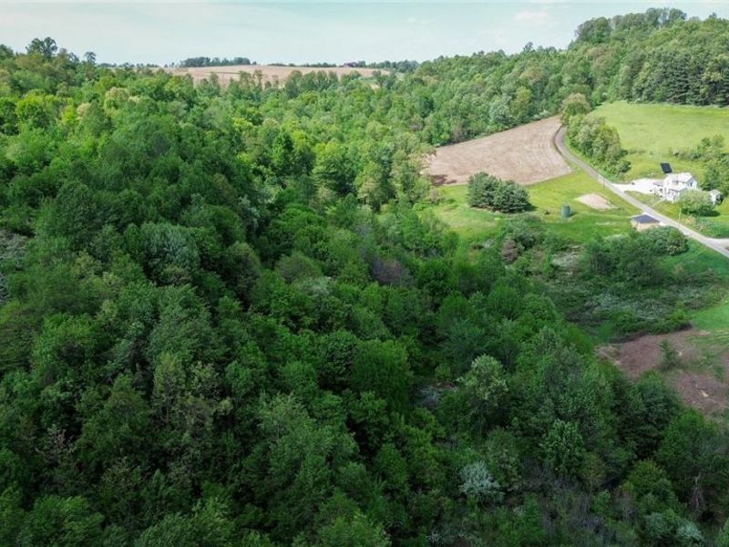 Degen Road SW, Stone Creek, OH 43840 Photo 10