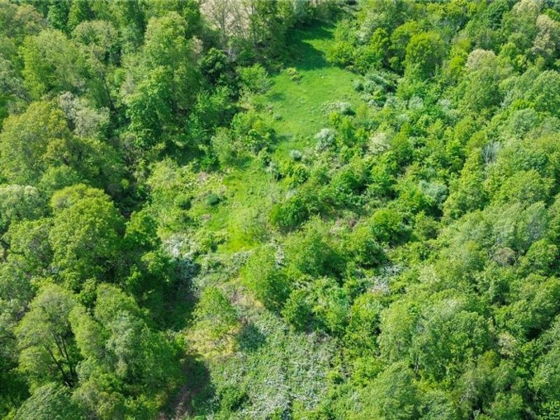 Degen Road SW, Stone Creek, OH 43840 Photo 14