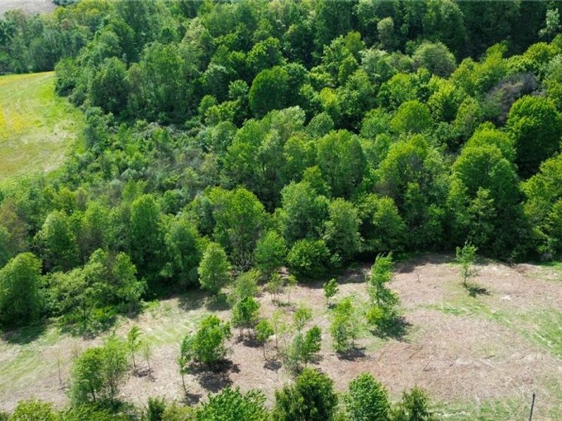 Degen Road SW, Stone Creek, OH 43840 Photo 2