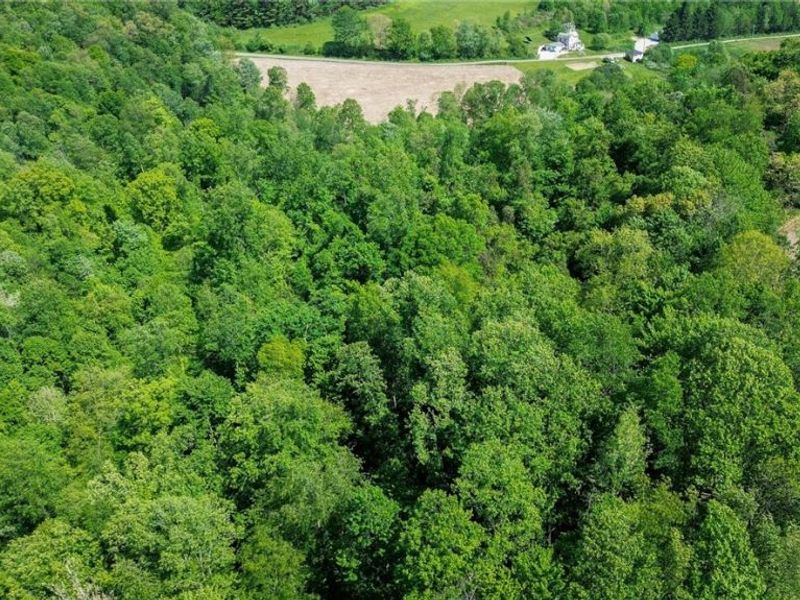 Degen Road SW, Stone Creek, OH 43840 Photo 13