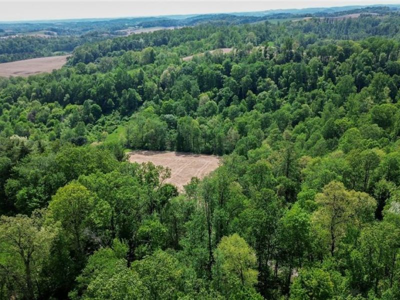 Degen Road SW, Stone Creek, OH 43840 Photo 16