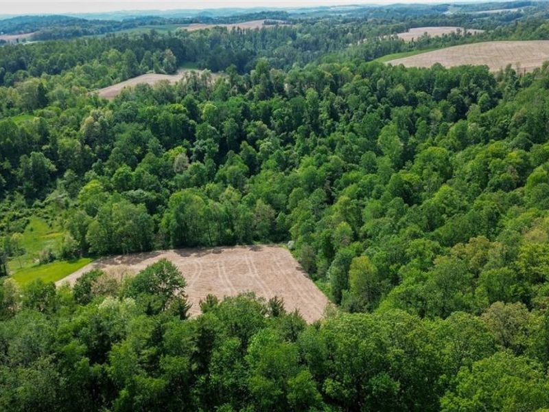 Degen Road SW, Stone Creek, OH 43840 Photo 18