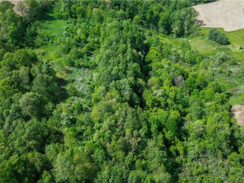 Degen Road SW, Stone Creek, OH 43840 Photo 32
