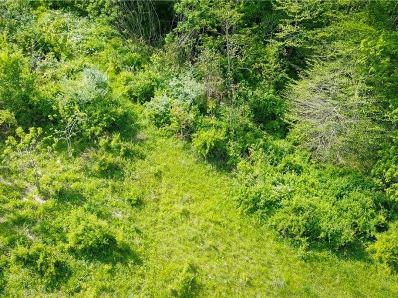 Degen Road SW, Stone Creek, OH 43840 Photo 38