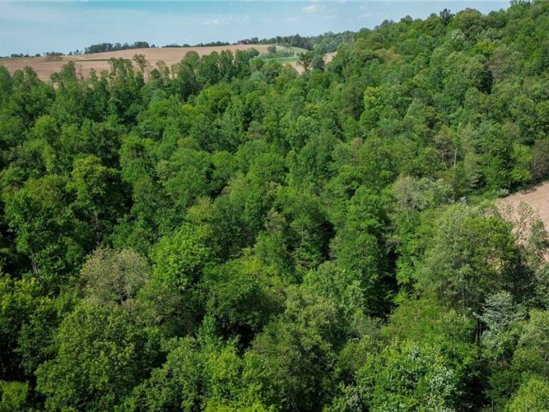 Degen Road SW, Stone Creek, OH 43840 Photo 9