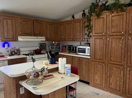 3920 Sandstone Drive, Wellington, NV 89444 Photo