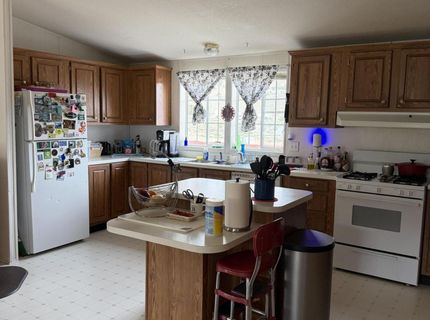 3920 Sandstone Drive, Wellington, NV 89444 Photo