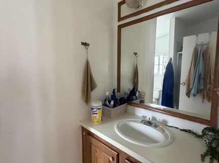 3920 Sandstone Drive, Wellington, NV 89444 Photo