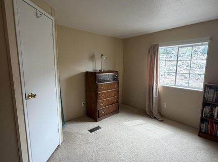 3920 Sandstone Drive, Wellington, NV 89444 Photo