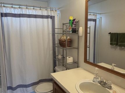 3920 Sandstone Drive, Wellington, NV 89444 Photo