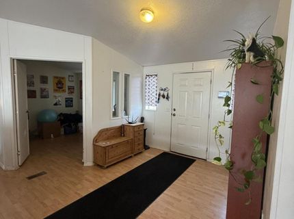 3920 Sandstone Drive, Wellington, NV 89444 Photo