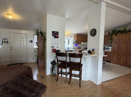 3920 Sandstone Drive, Wellington, NV 89444 Photo