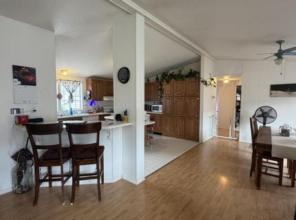 3920 Sandstone Drive, Wellington, NV 89444 Photo