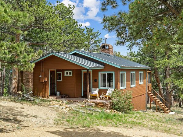 270 E Ski Rd, Allenspark, CO 80510