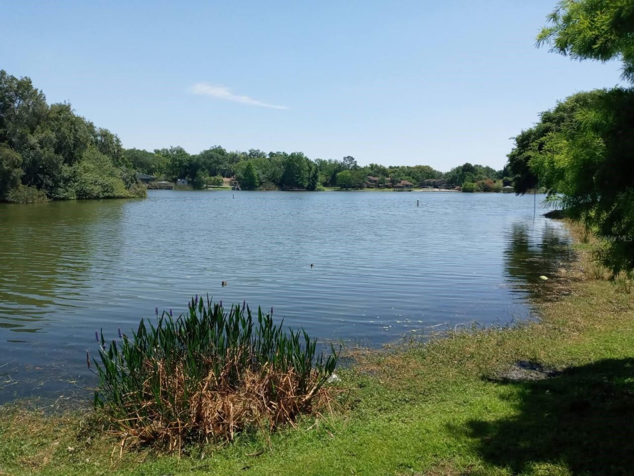 536 Orange Drive , Unit 14, Altamonte Springs, FL 32701 Photo