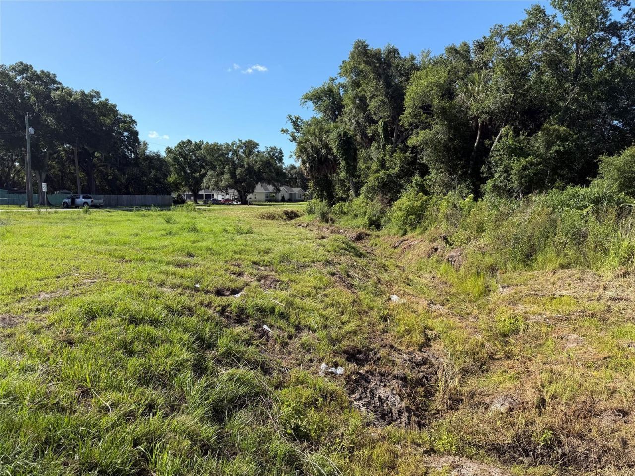 Dossey Road S, Lakeland, FL 33811 Photo