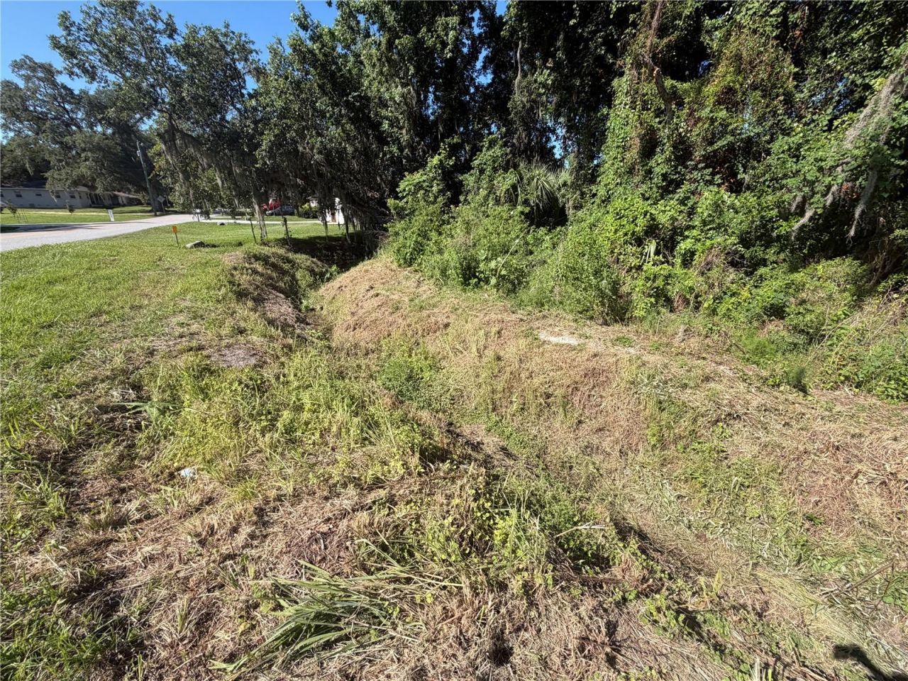 Dossey Road S, Lakeland, FL 33811 Photo