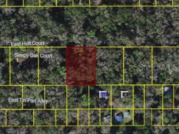 9346 E SLEEPY OAK COURT , INVERNESS, FL 34453