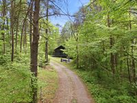 home photo