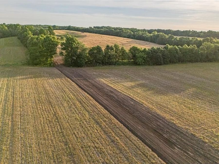 Property Image 28
