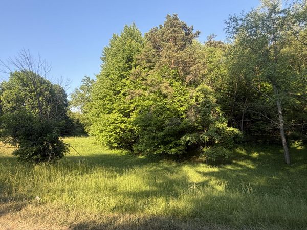 Pifer Road, Delton, MI 49046