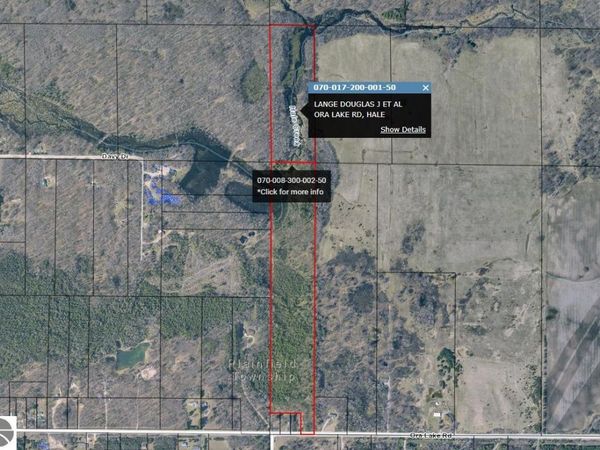 Ora Lake Road, Hale, MI 48739