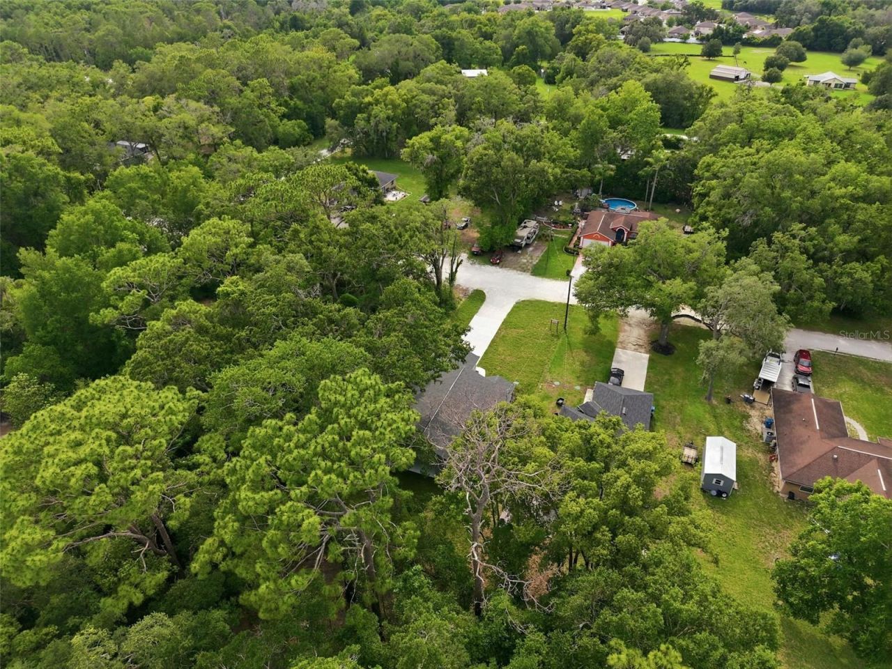 352 Garfield , Masaryktown, FL 34604 Photo