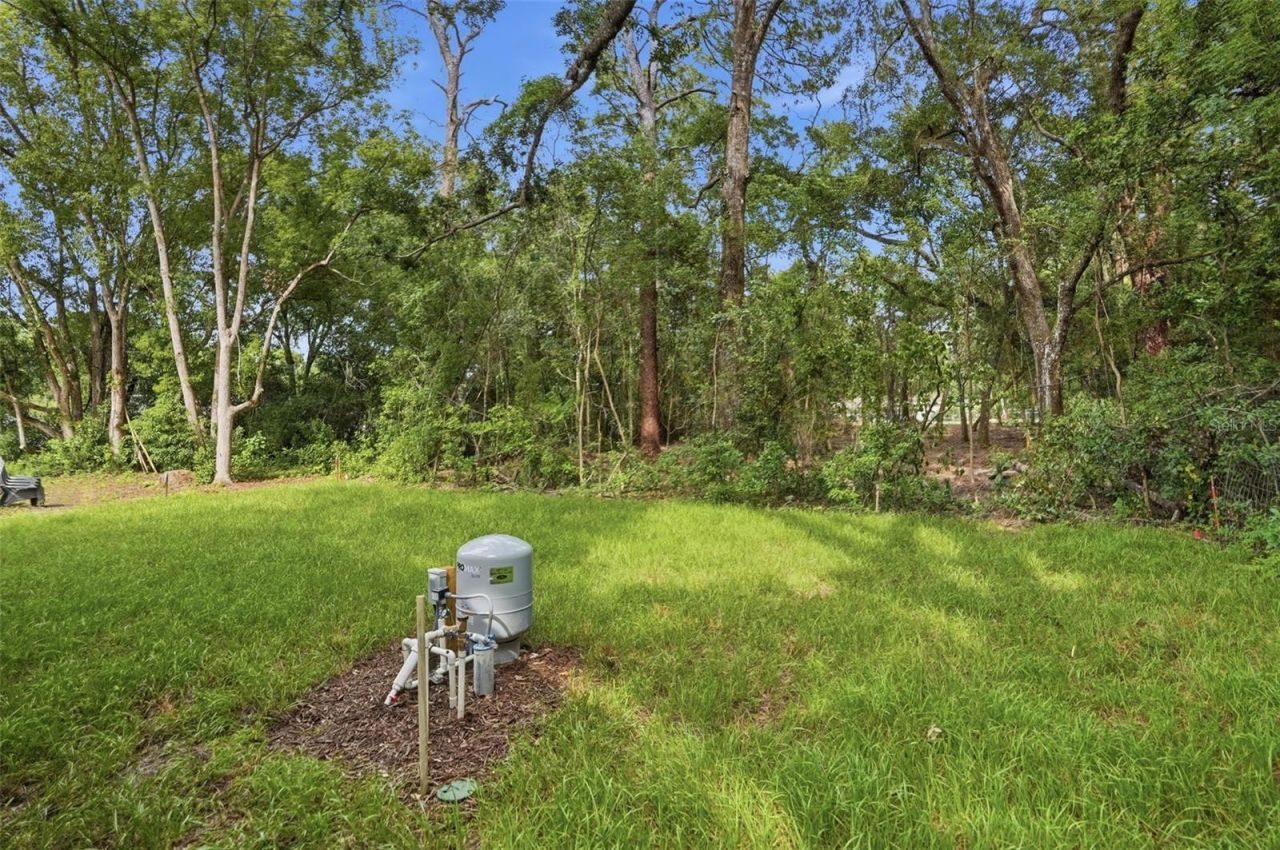 352 Garfield , Masaryktown, FL 34604 Photo