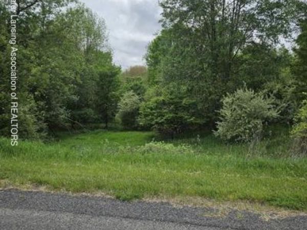 0 Woodlawn Court, Perrinton, MI 48871