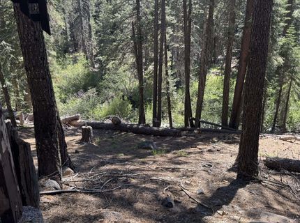 Lot 10 Willow Creek Homesites, Chester, CA 00000 Photo